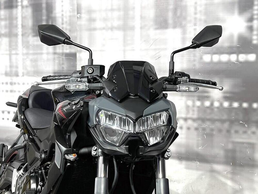 Kawasaki Z 650 (2025 - 26) (9)