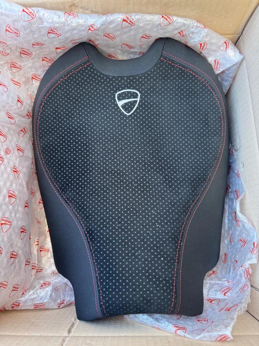 Ducati Streetfighter V4 1100 S (2021 - 22) (9)