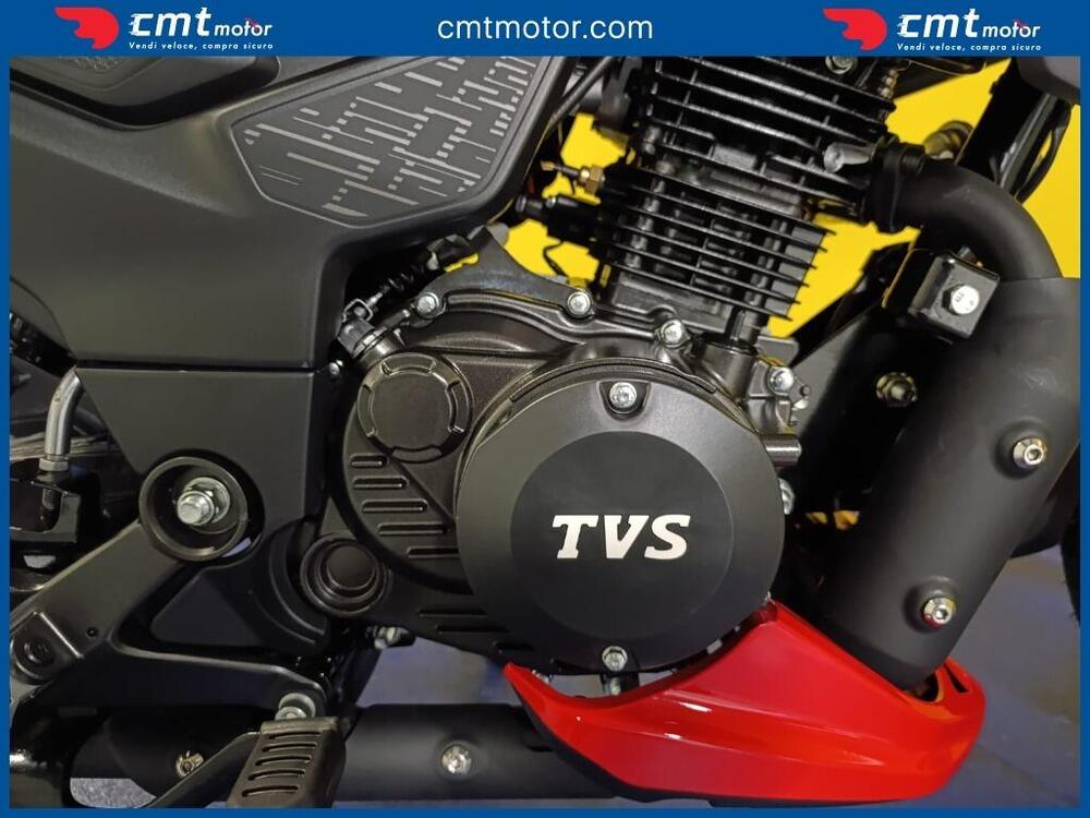 TVS Motor Raider 125 (2024 - 26) (6)