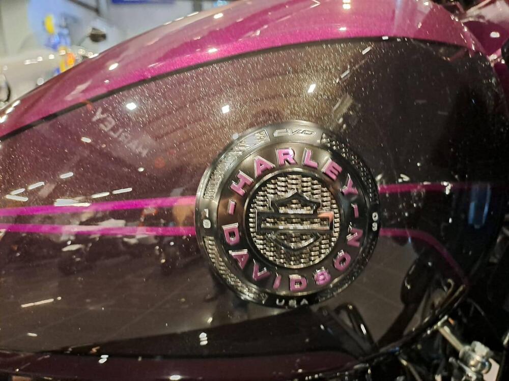 Harley-Davidson CVO Road Glide (2025 - 26) (5)