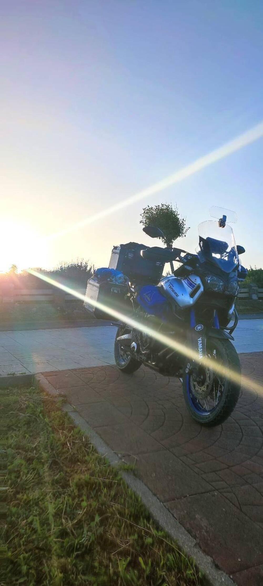 Yamaha XT1200Z Super Ténéré ABS (2015 - 16) (4)