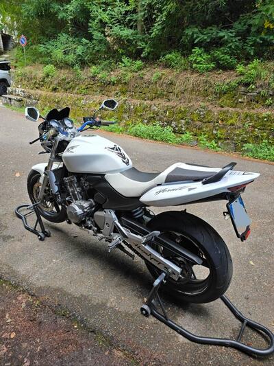 Honda Hornet 600 (2003 - 04) usata