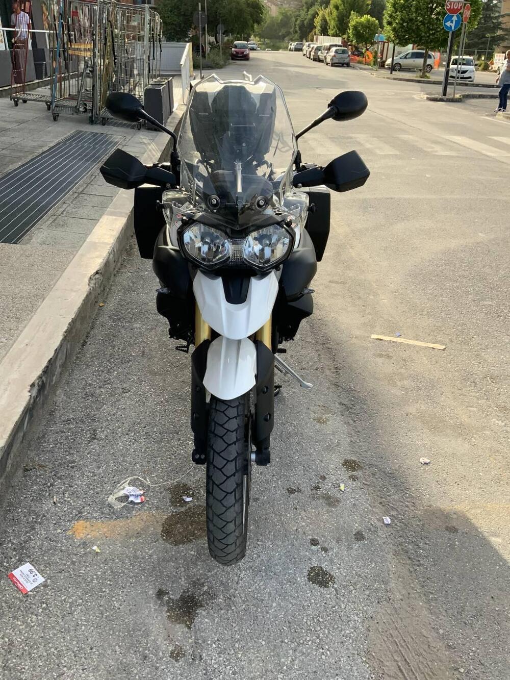 Triumph Tiger 800 XR (2015 - 17) (2)