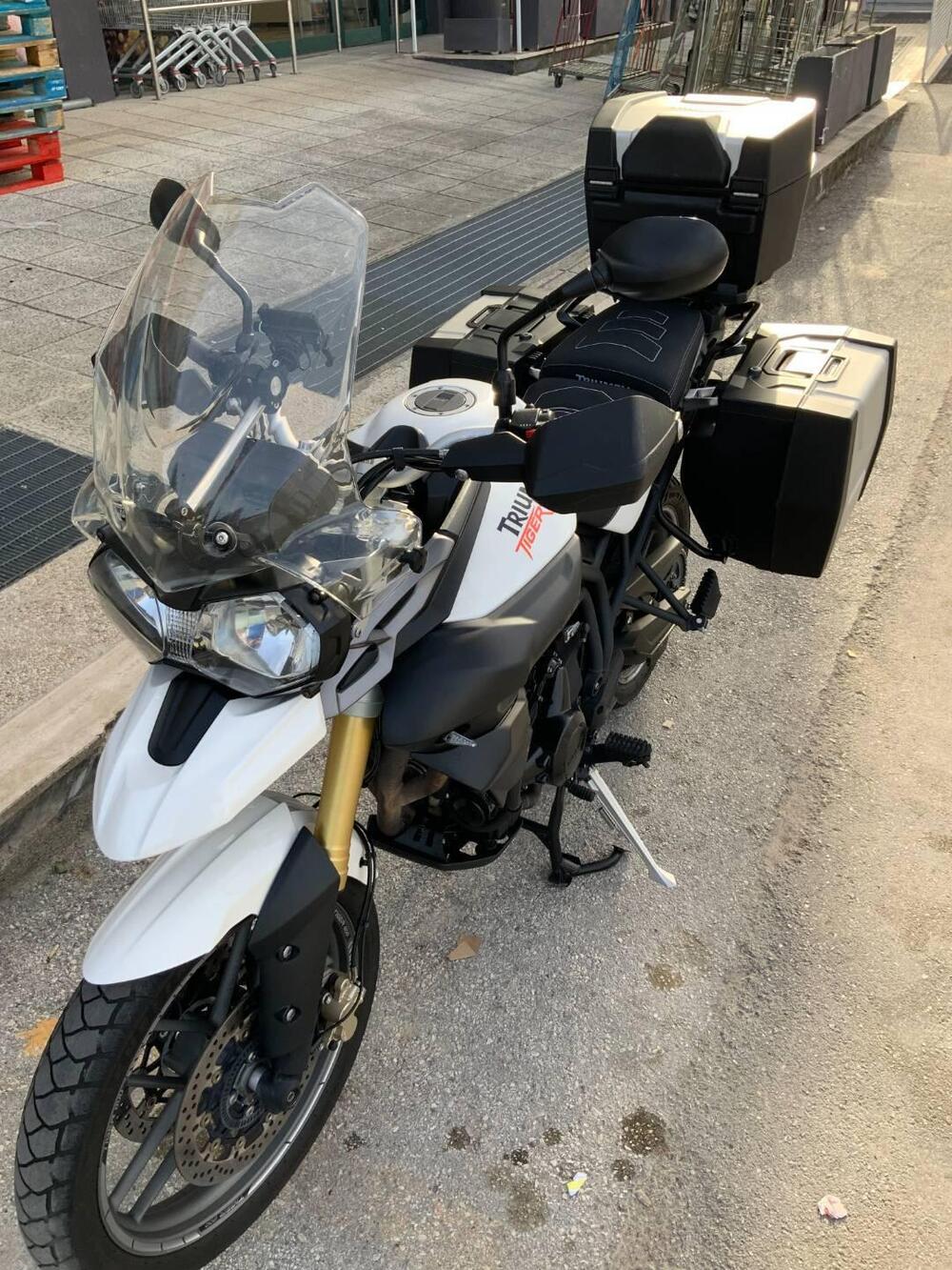 Triumph Tiger 800 XR (2015 - 17) (7)