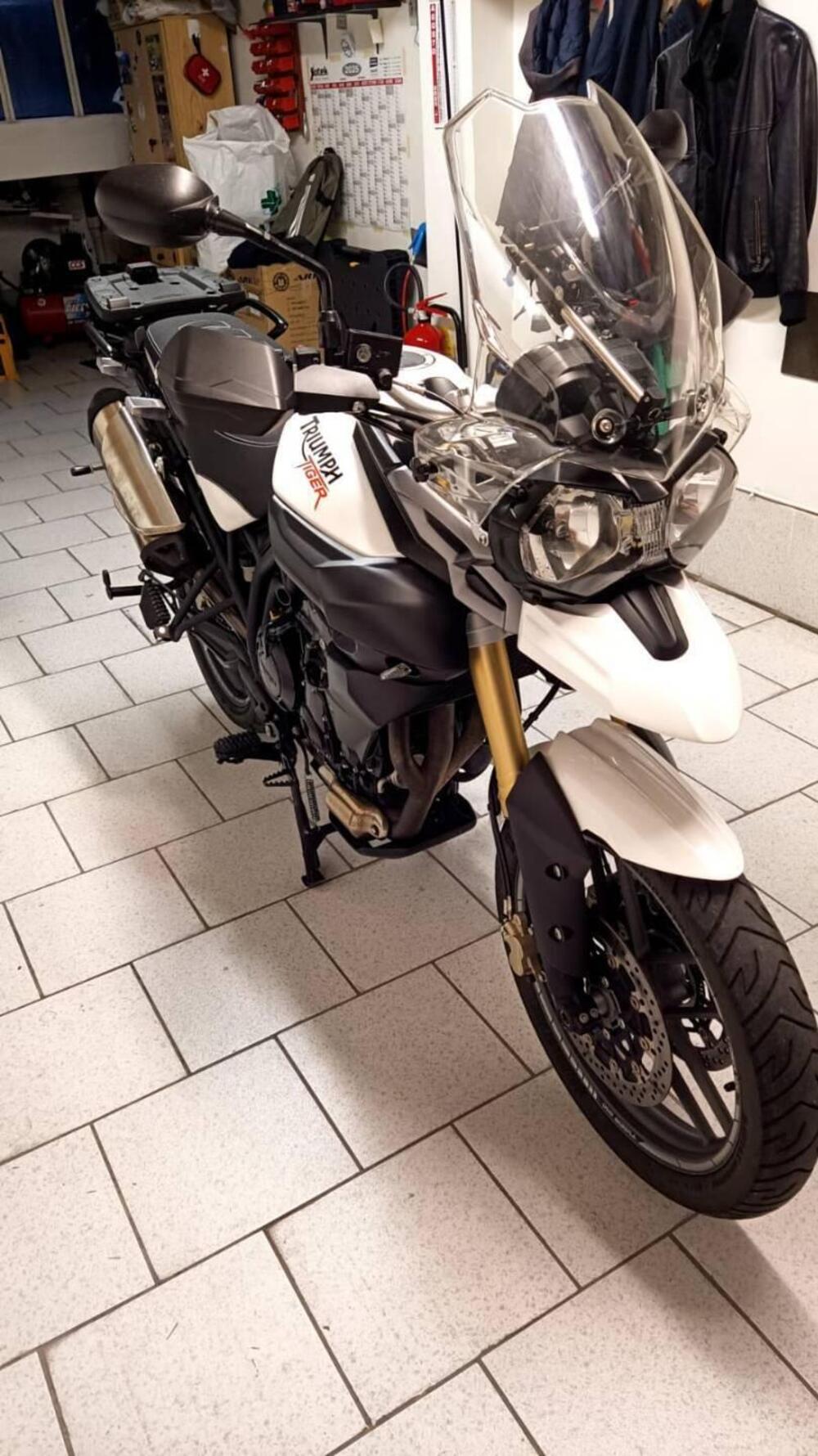 Triumph Tiger 800 XR (2015 - 17) (15)