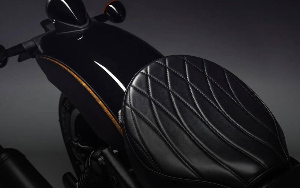 Royal Enfield Shotgun 650 (2024 - 26) (5)