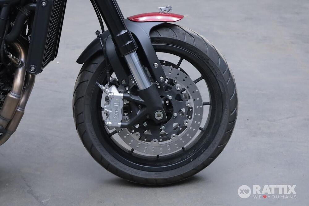 Benelli Leoncino 500 (2021 - 25) (8)