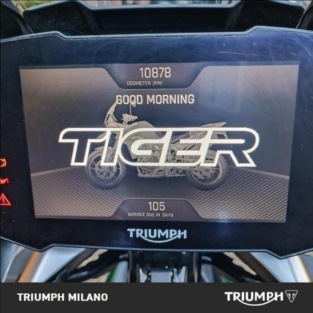 Triumph Tiger 900 GT (2020 - 23) (9)