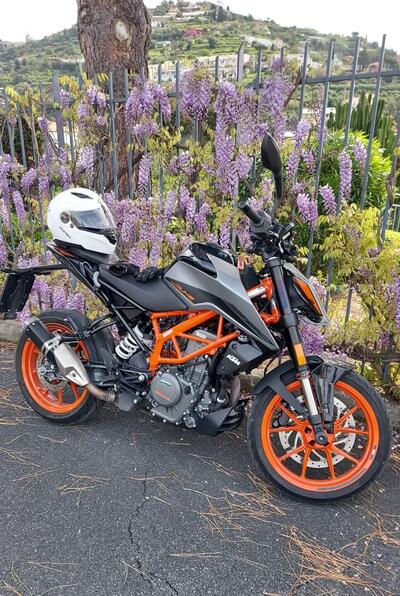 KTM 390 Duke (2021 - 23) usata