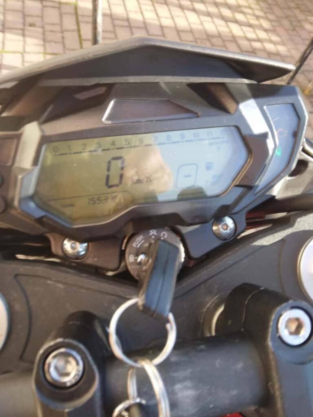 Benelli BN 125 (2021 - 25) (4)