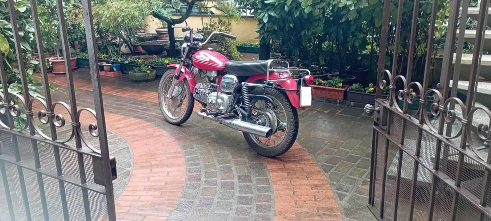 Aermacchi Harley-Davidson Sprint 350 (10)