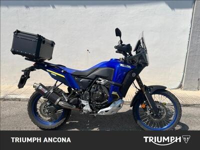 Yamaha T&eacute;n&eacute;r&eacute; 700 World Raid (2022 - 25) usata