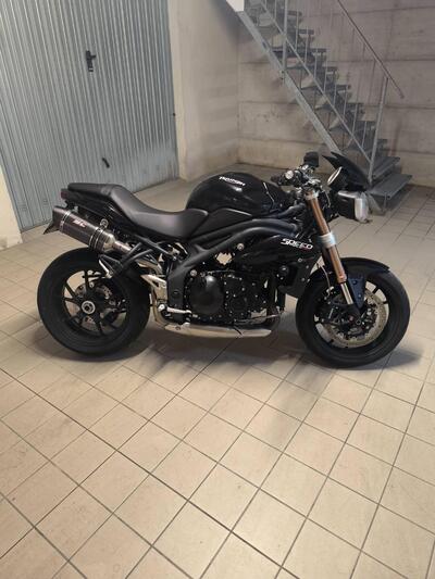 Triumph Speed Triple 1050 (2011 - 13) usata