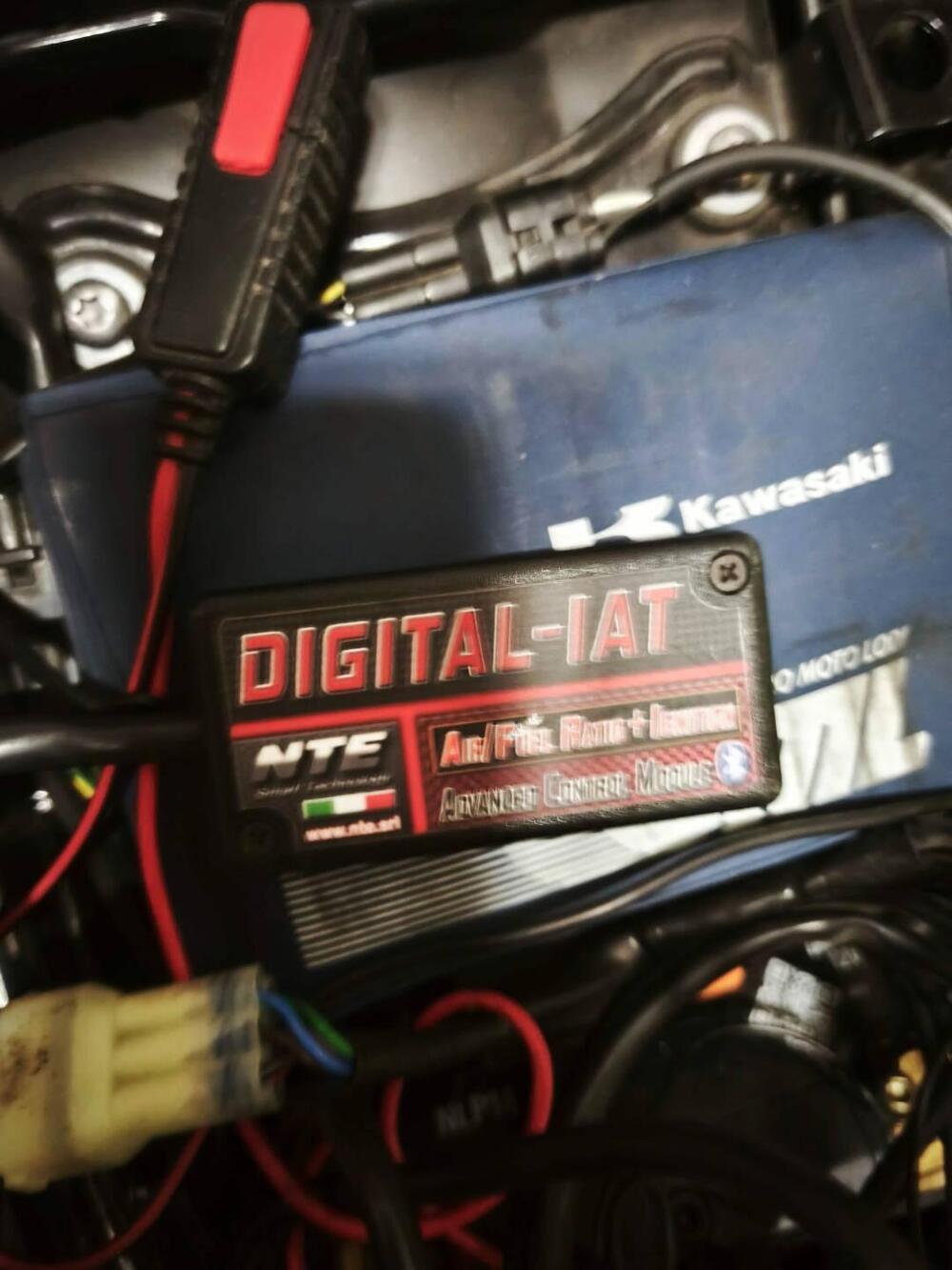 Triumph Street Scrambler 900 (2017 - 18) (6)