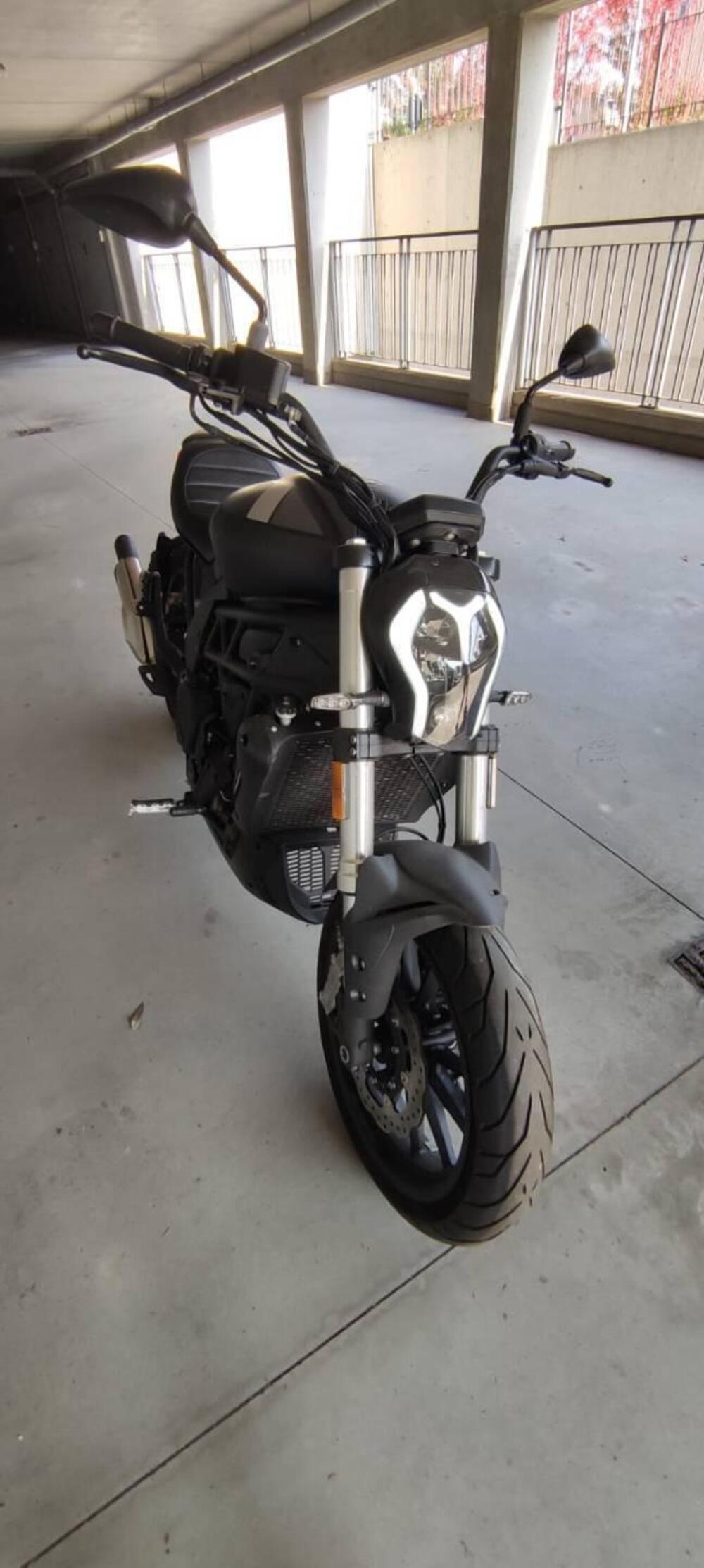 Benelli 502 C (2021 - 25) (7)