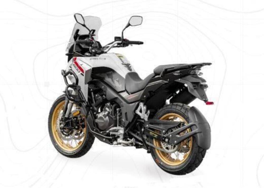 Cyclone RX600 (2025 - 26) (2)