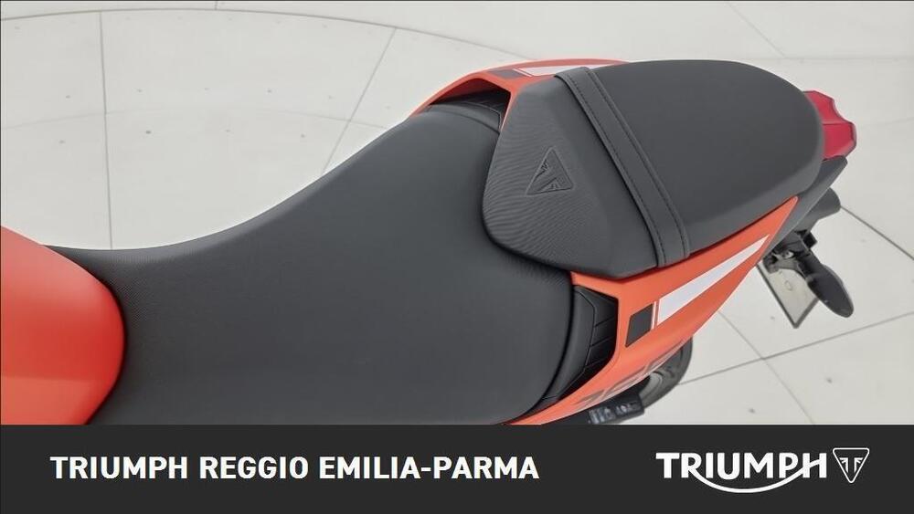 Triumph Street Triple R (2009 - 12) (13)