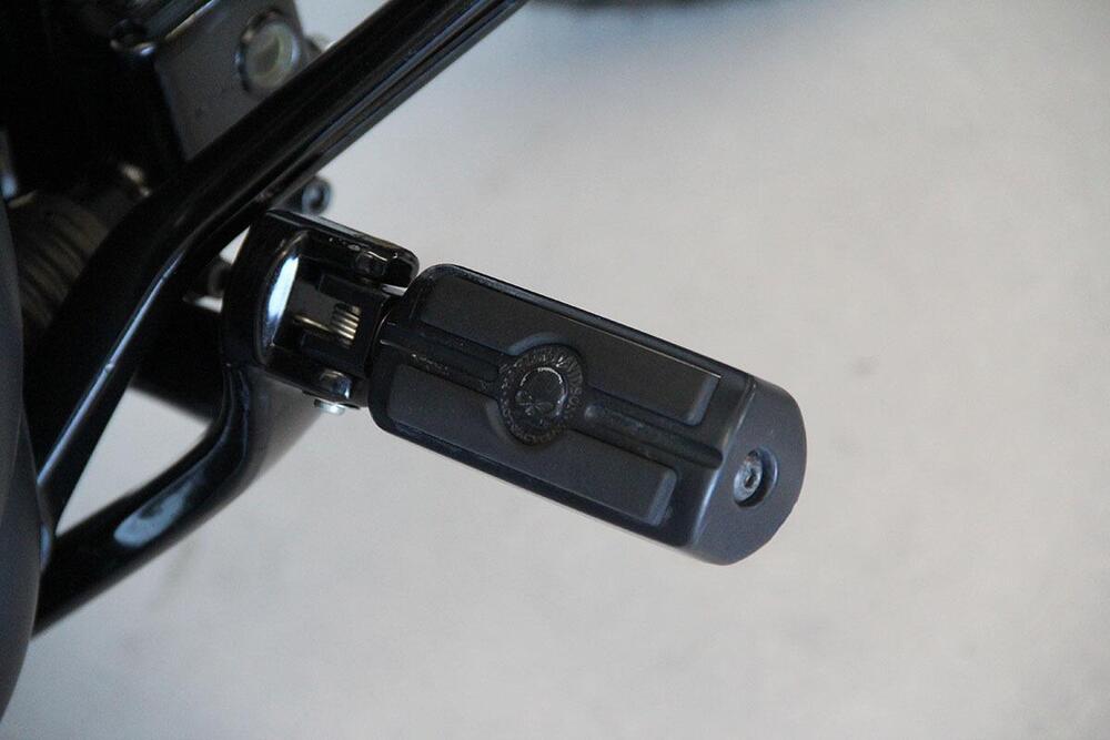 Harley-Davidson 114 Fat Bob (2018 - 20) - FXFBS (9)