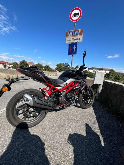 Benelli BN 125 (2021 - 25) usata