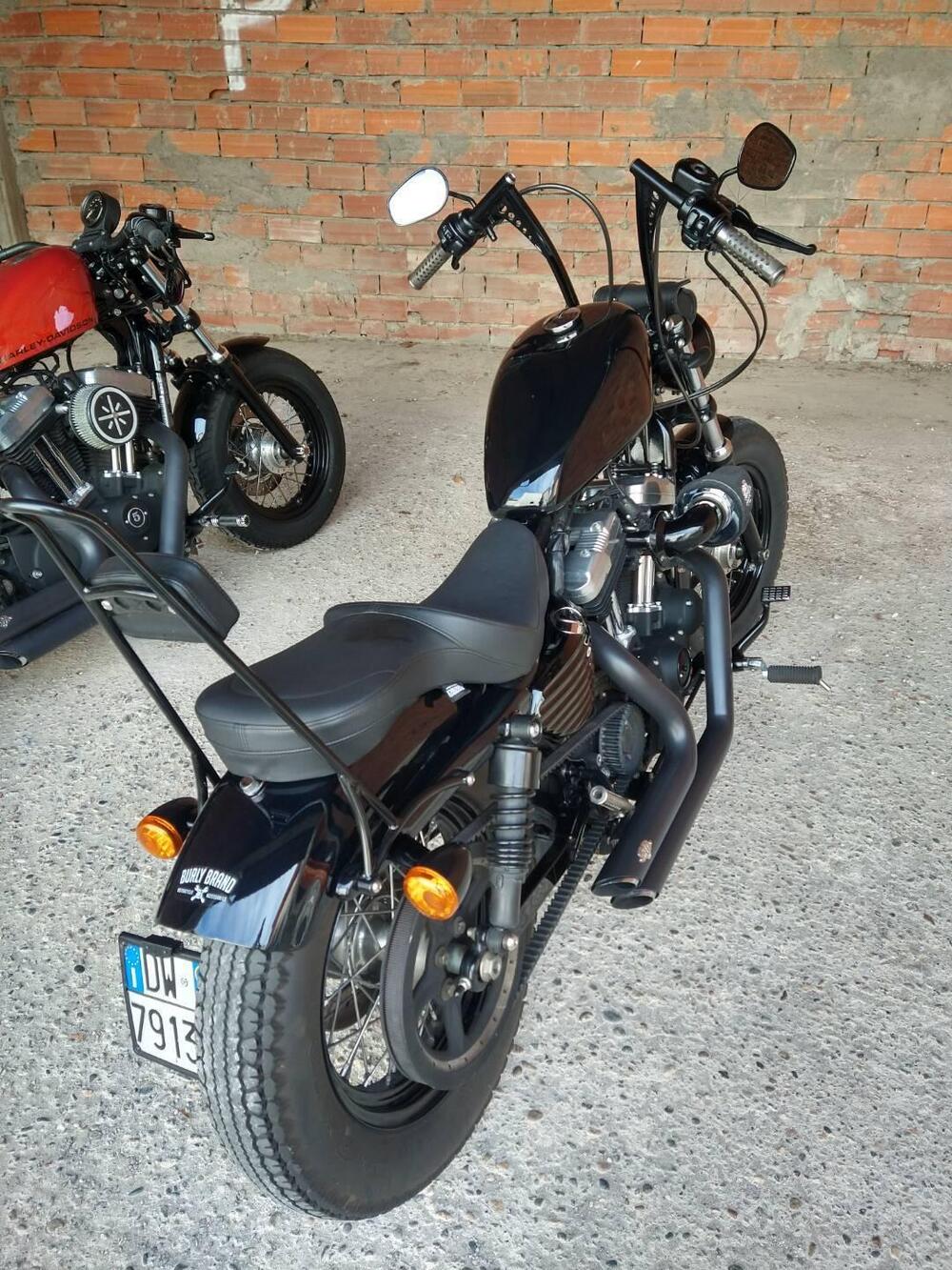 Harley-Davidson 1200 Forty-Eight (2010 - 15) (5)