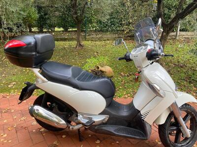 Aprilia Scarabeo 300 Special (2009 - 13) usata