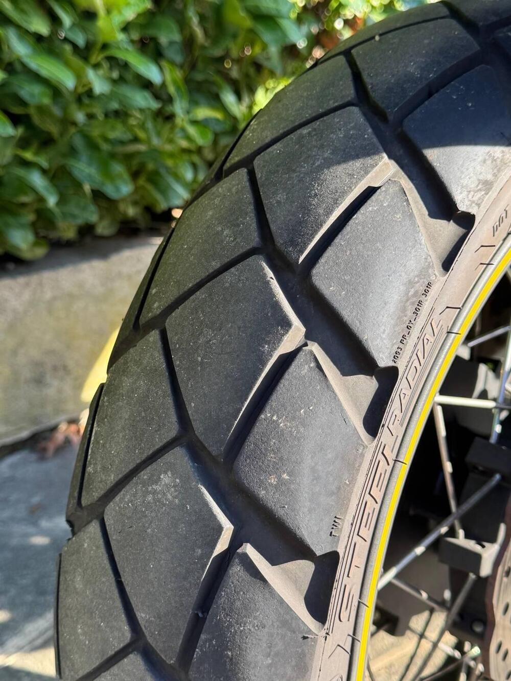 Voge Valico 525DSX (2023 - 26) (6)