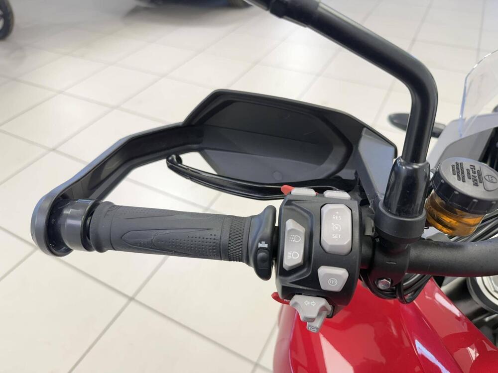 Triumph Tiger 1200 GT Pro (2024 - 26) (11)