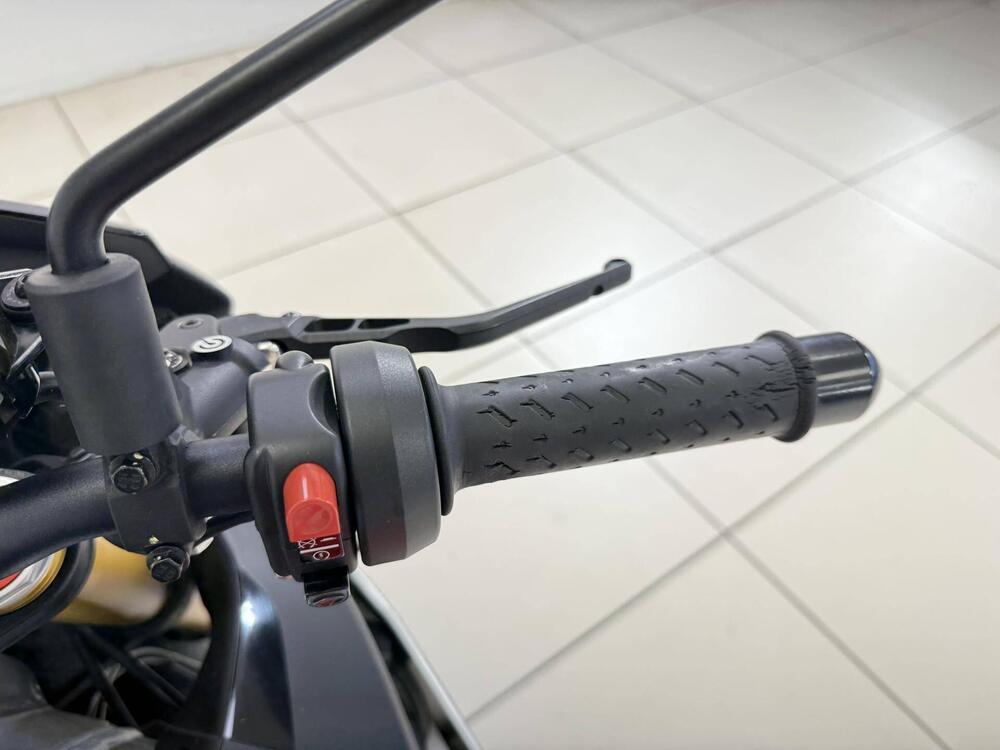 Aprilia Tuono V4 RR (2019 - 20) (10)