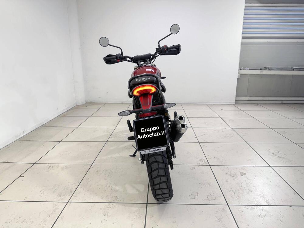 Triumph Scrambler 400 X (2024 - 26) (6)