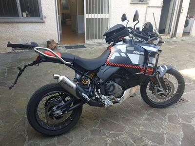 Ducati DesertX (2022 - 25) usata