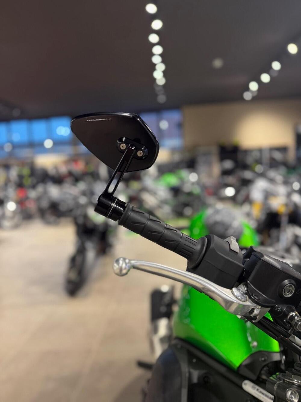 Kawasaki Z 900 (2025 - 26) (4)