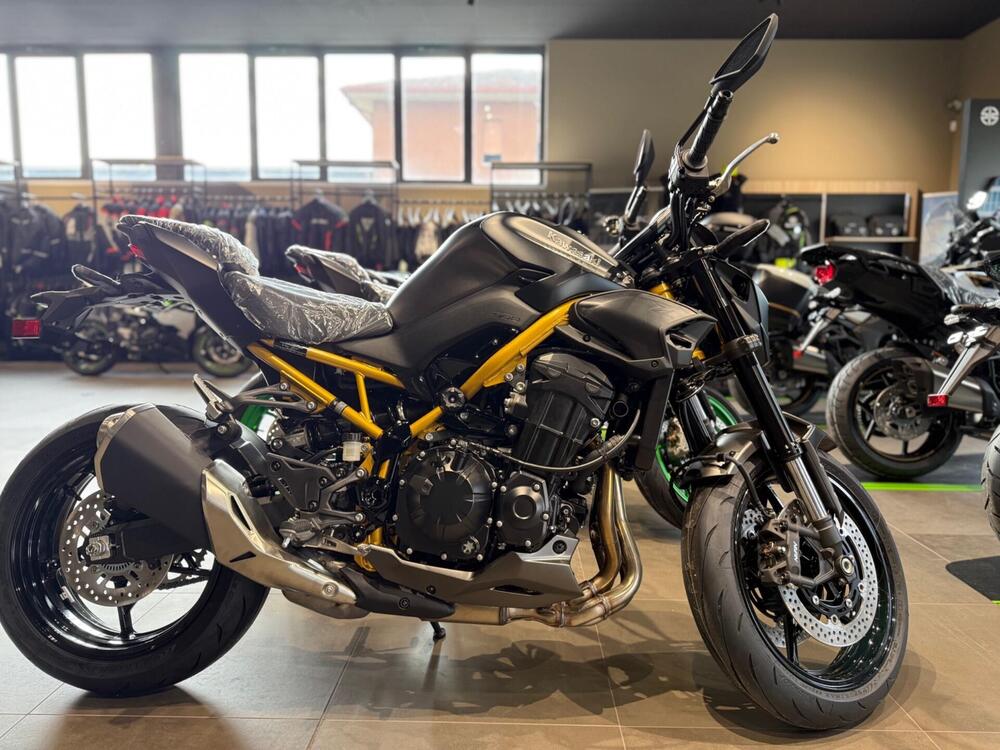 Kawasaki Z 900 (2025 - 26)