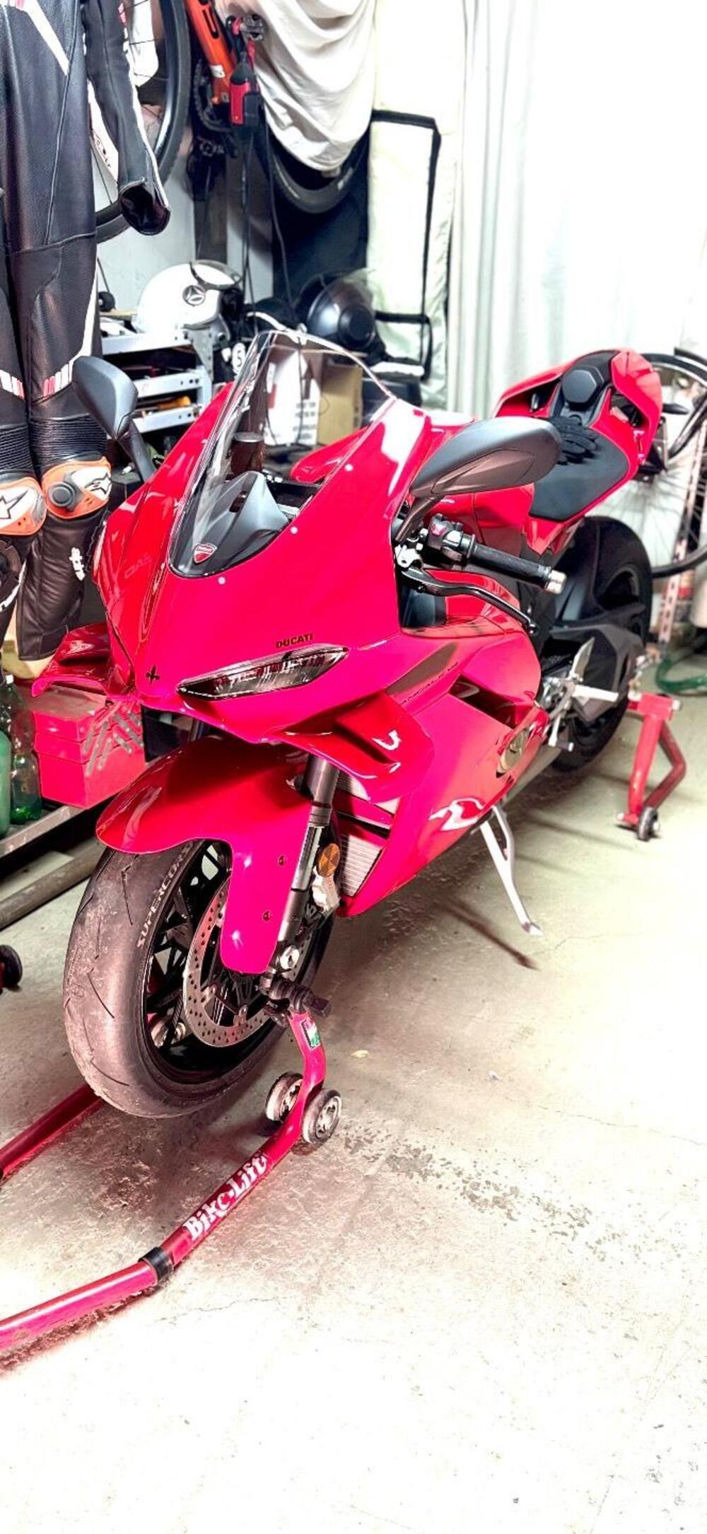 Ducati Panigale V4 (2025) (5)