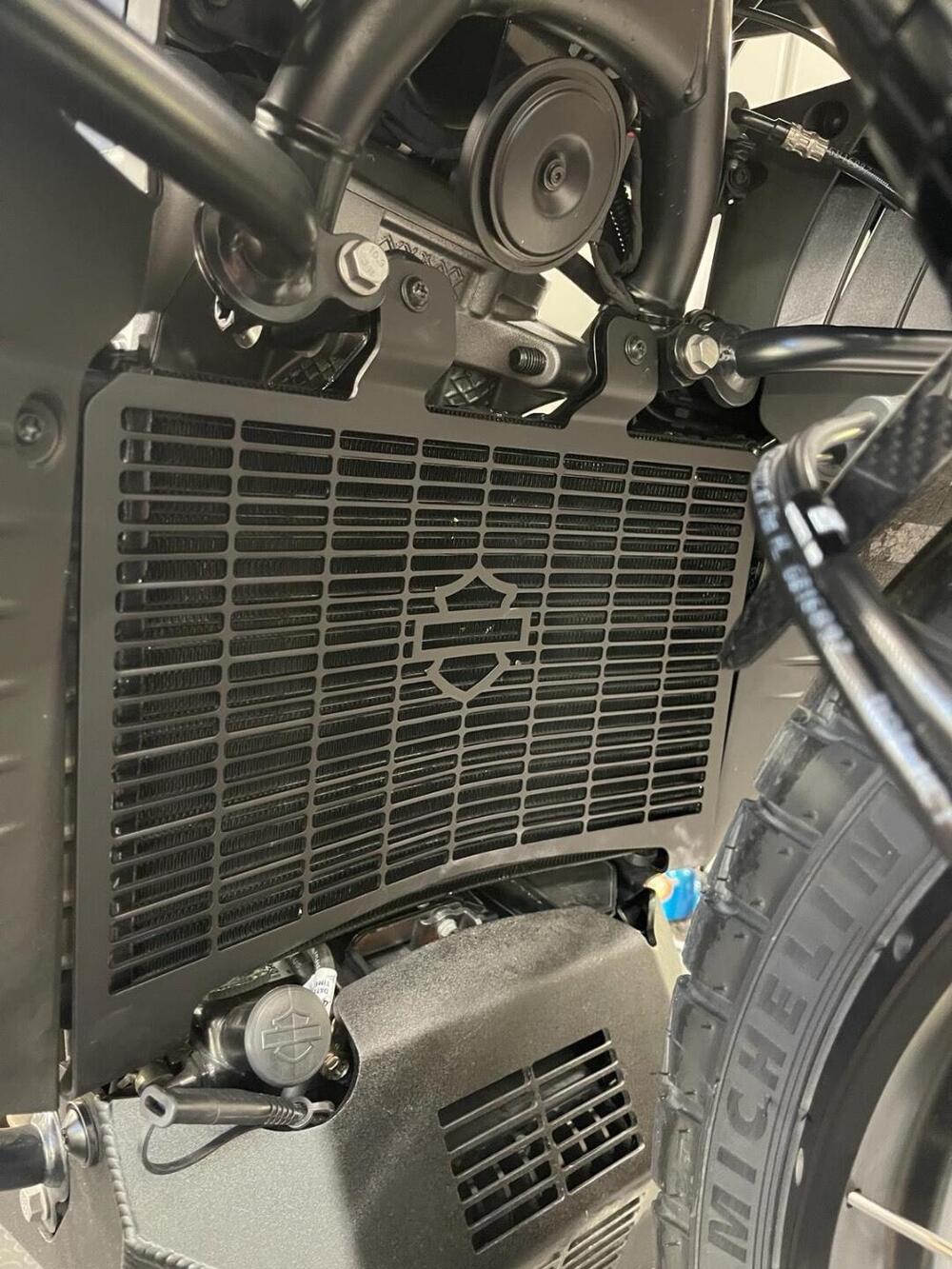 Harley-Davidson Pan America 1250 Special (2020 - 25) (15)