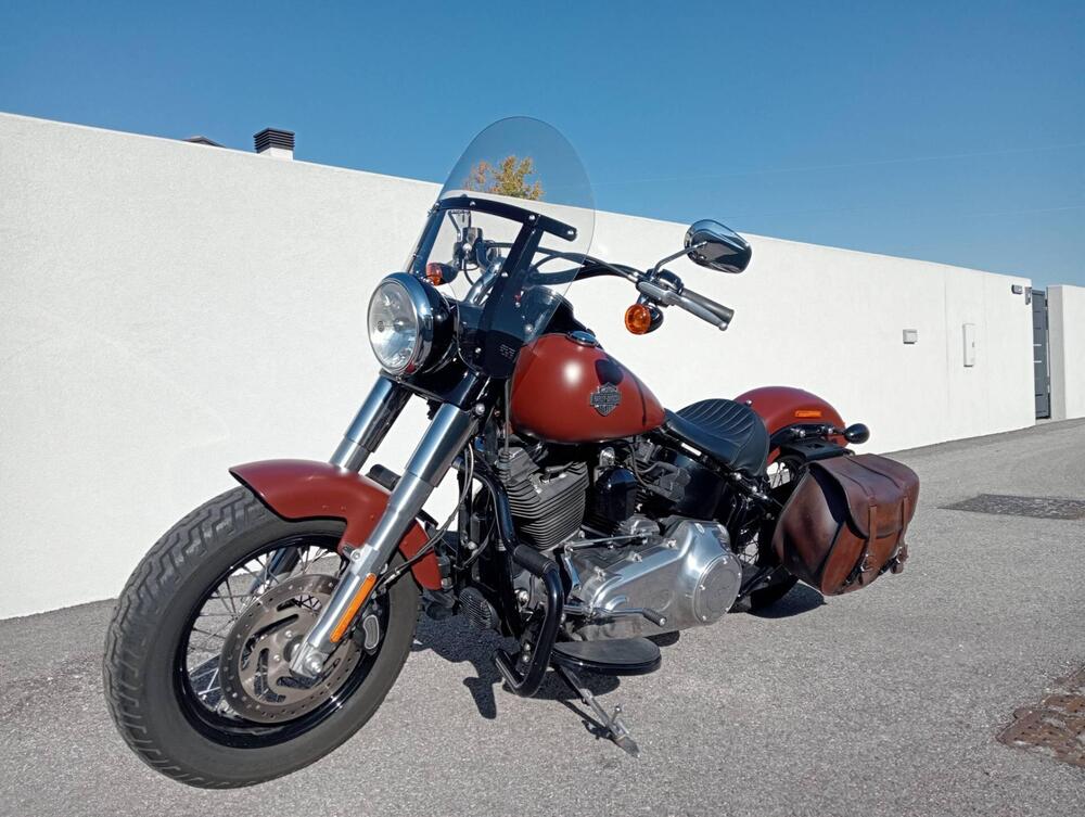 Harley-Davidson 1690 Slim (2017) - FLS (7)