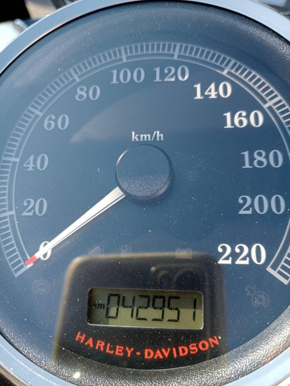 Harley-Davidson 1690 Slim (2017) - FLS (3)