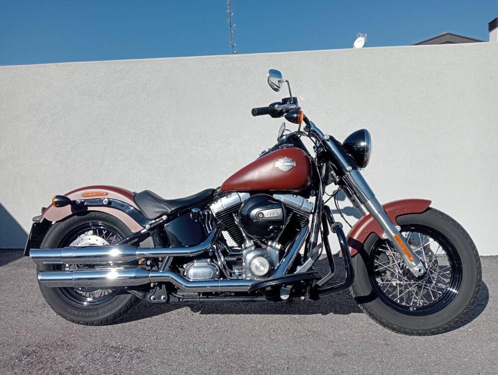 Harley-Davidson 1690 Slim (2017) - FLS (2)