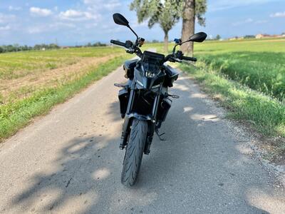 Yamaha MT-09 (2024 - 25) usata