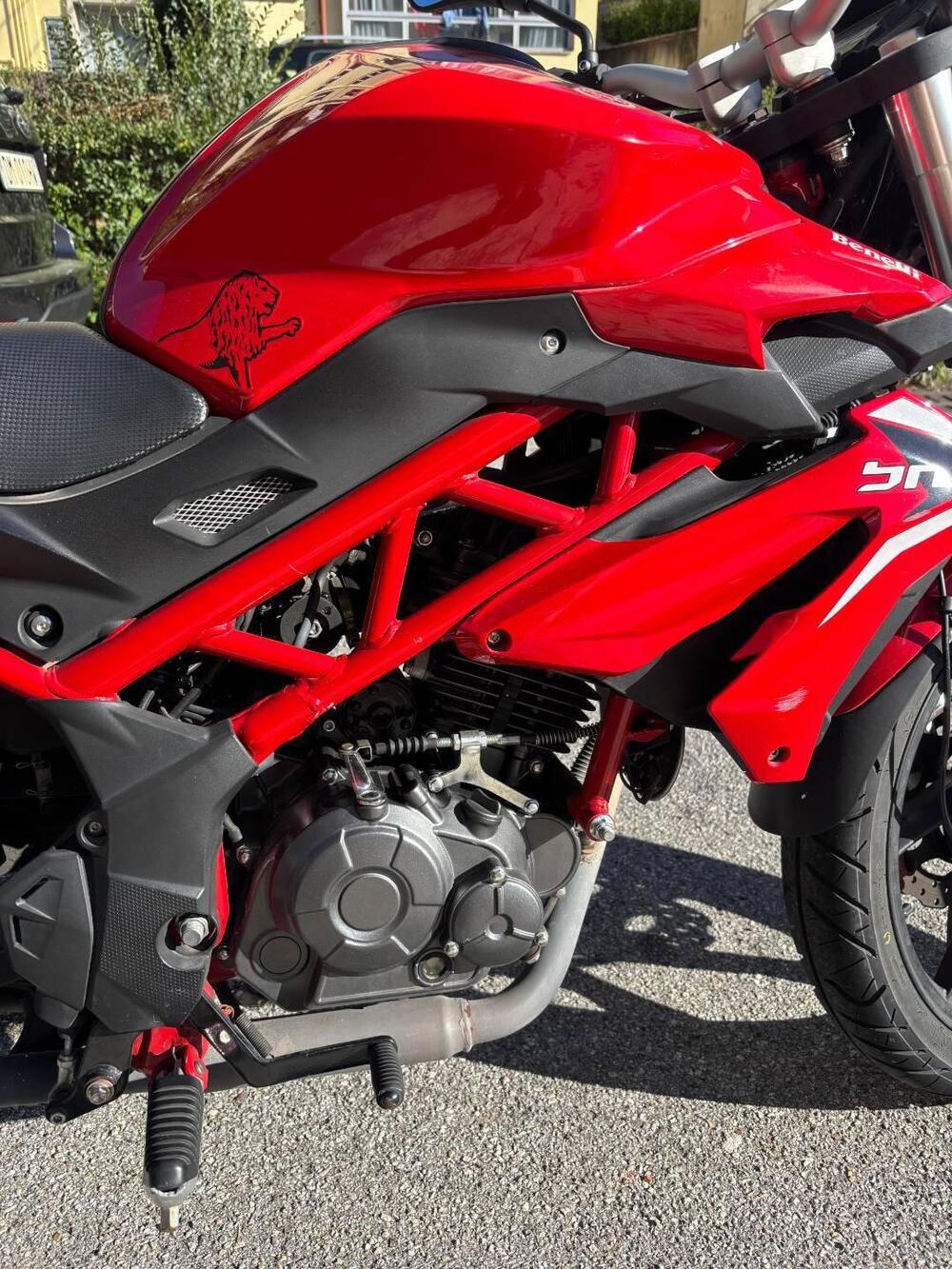 Benelli BN 125 (2018 - 20) (8)