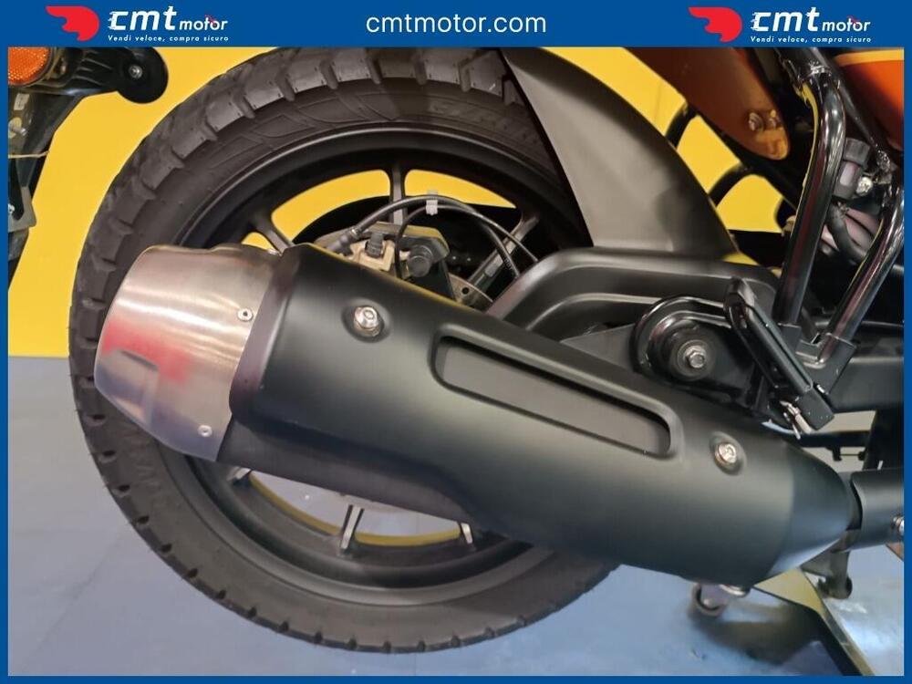 TVS Motor Ronin 250 (2024 - 26) (12)