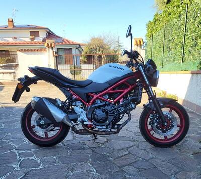 Suzuki SV650 (2021 - 24) usata