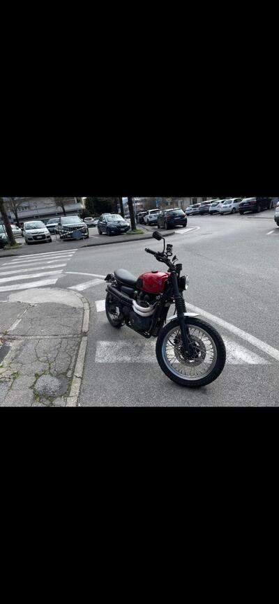 Triumph Scrambler (2006 - 17) usata