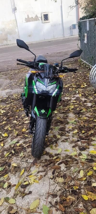 Kawasaki Z 900 A2 (2021 - 24) usata