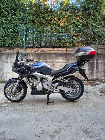 Yamaha FZ6 Fazer (2004 - 07) usata