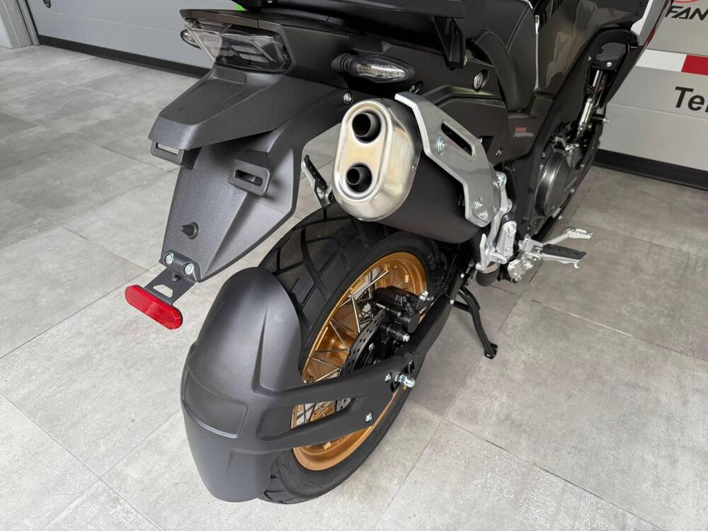 Cyclone RX600 (2025 - 26) (20)