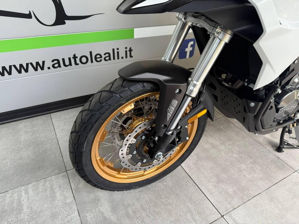 Cyclone RX600 (2025 - 26) (4)