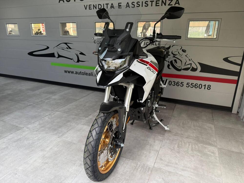 Cyclone RX600 (2025 - 26) (7)