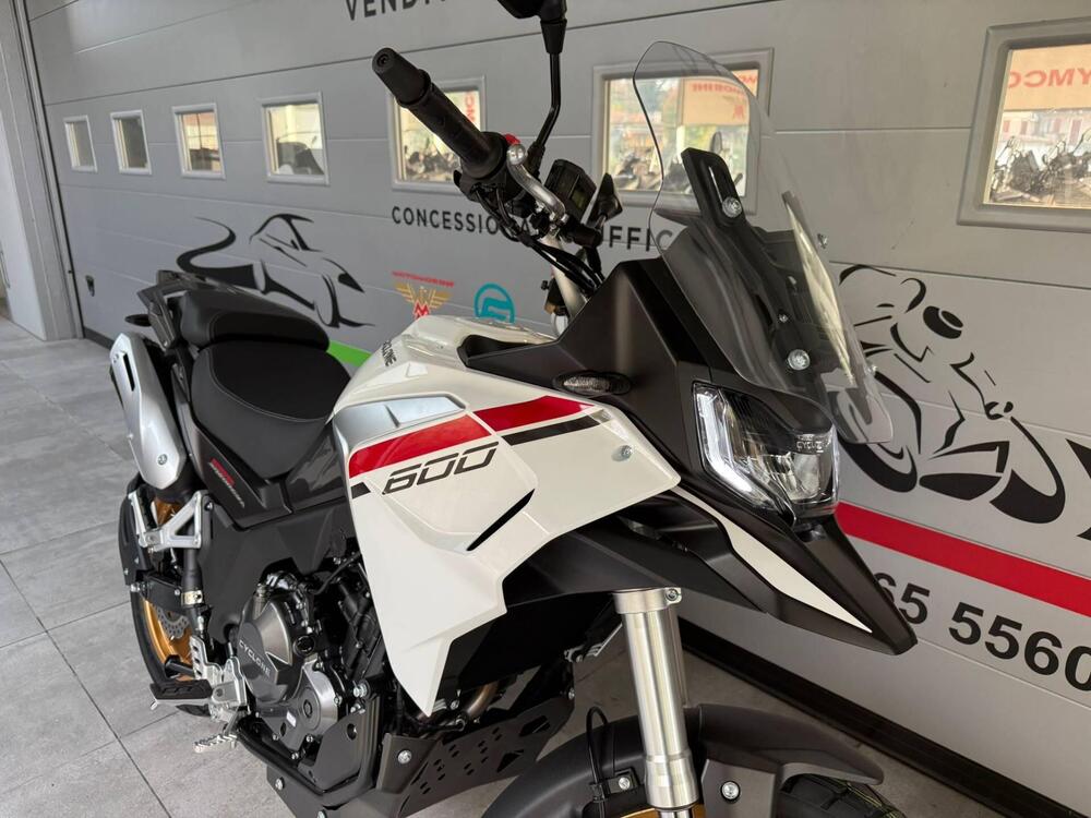 Cyclone RX600 (2025 - 26) (11)