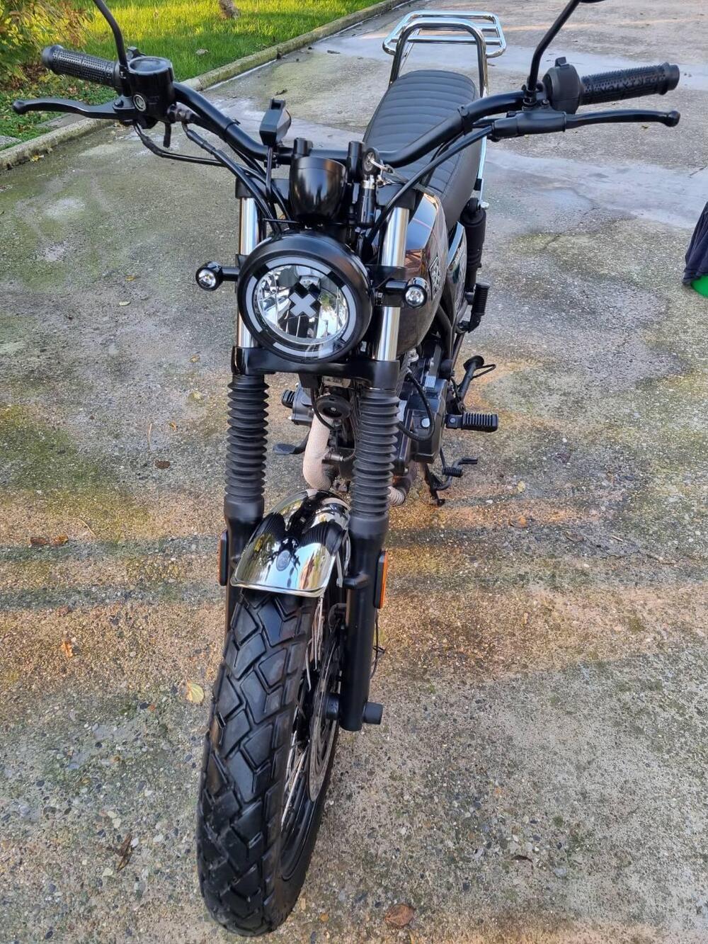 Brixton Motorcycles Cromwell 250 (2021 - 25) (4)