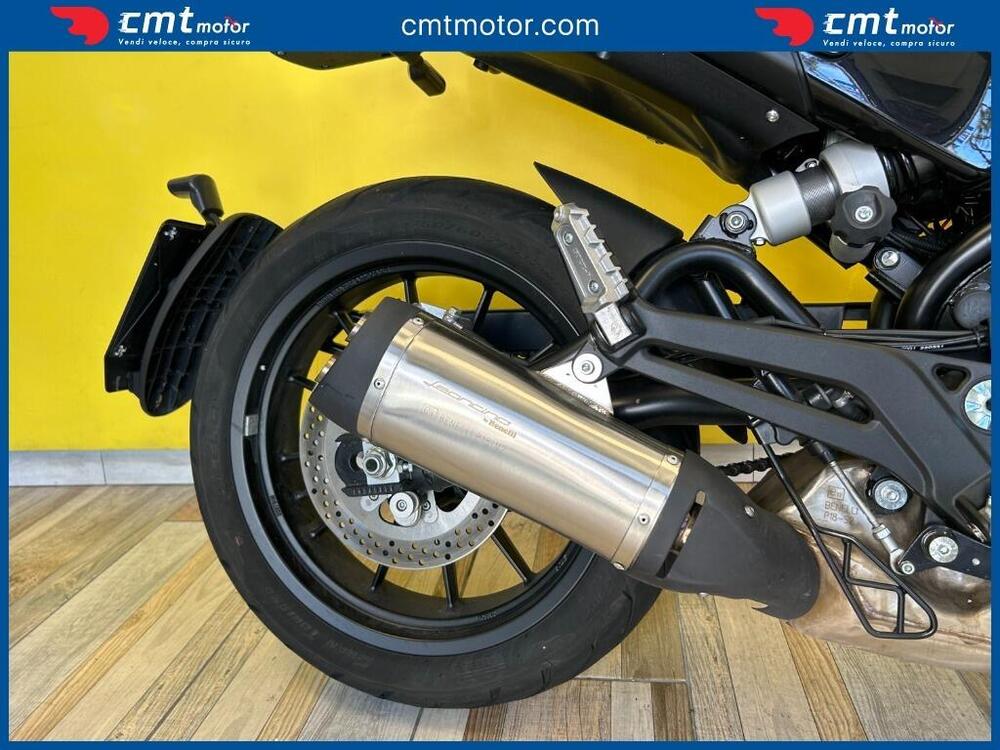 Benelli Leoncino 500 (2021 - 25) (9)